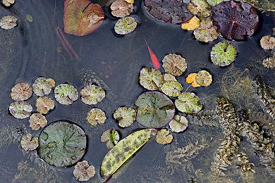 《银河战士究极复刻版》对比NGC原版全方位进化
